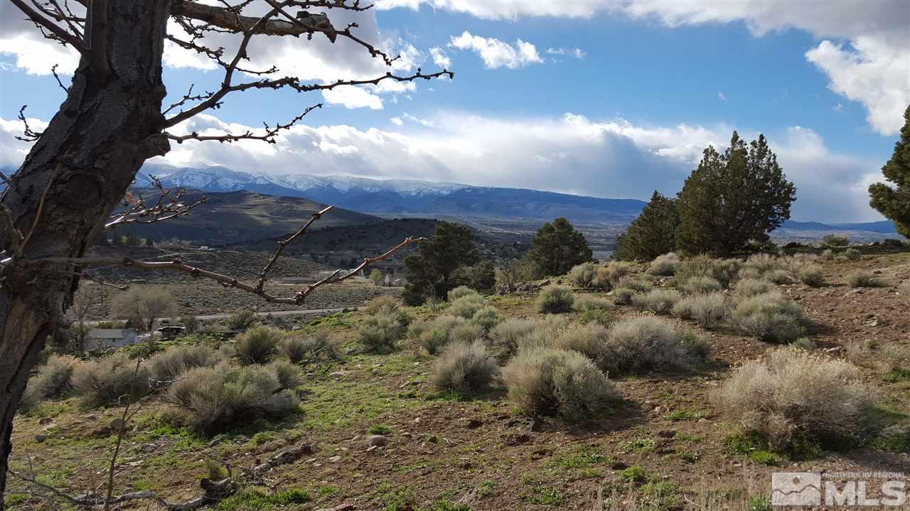 15868 Toll Road Reno, NV 89521 - Photo 6 of 6 a view of a yard