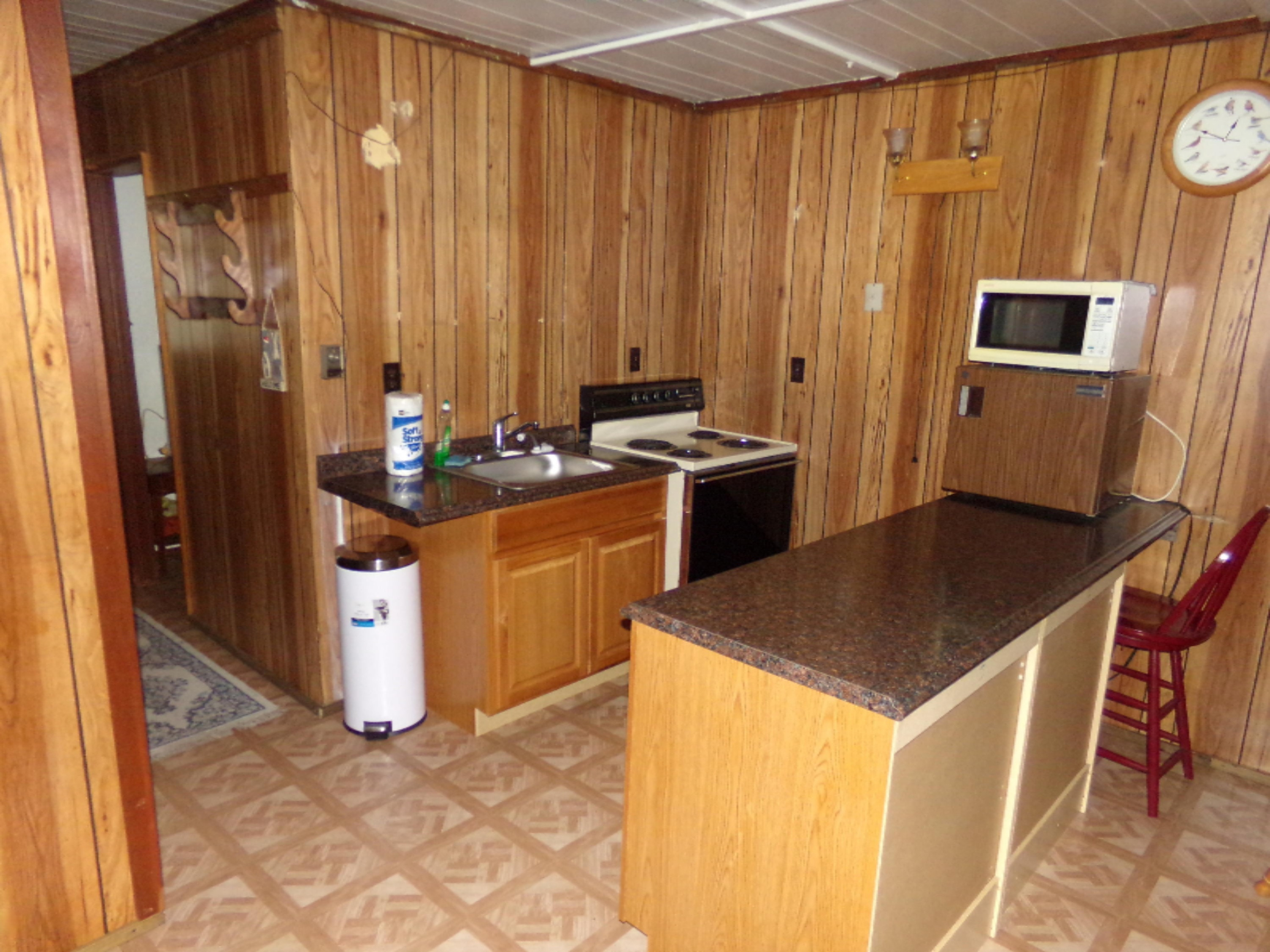 887 North Tippy Dam Road Wellston, MI 49689 - Photo 2 of 10 100_0987
