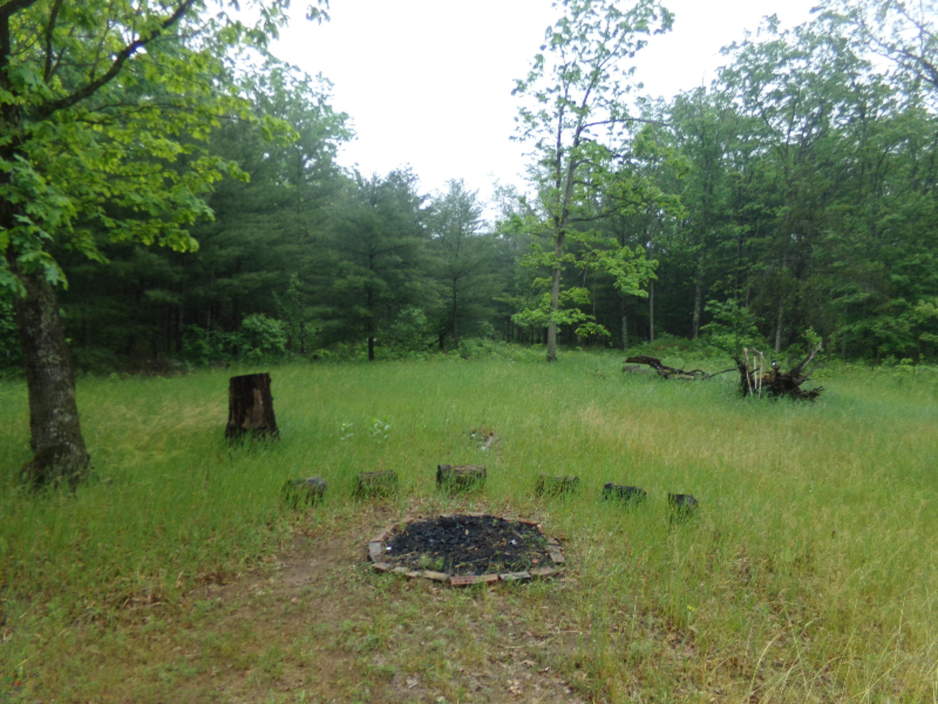 887 North Tippy Dam Road Wellston, MI 49689 - Photo 8 of 10 100_0993