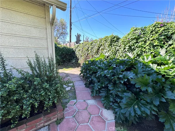 a plant that is in front of a house