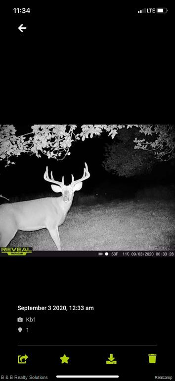 0 Ducker Road Marlette, MI 48453 - Photo 37 of 44