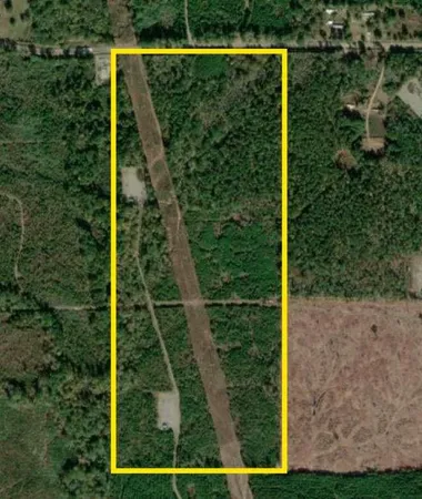 a view of a yard