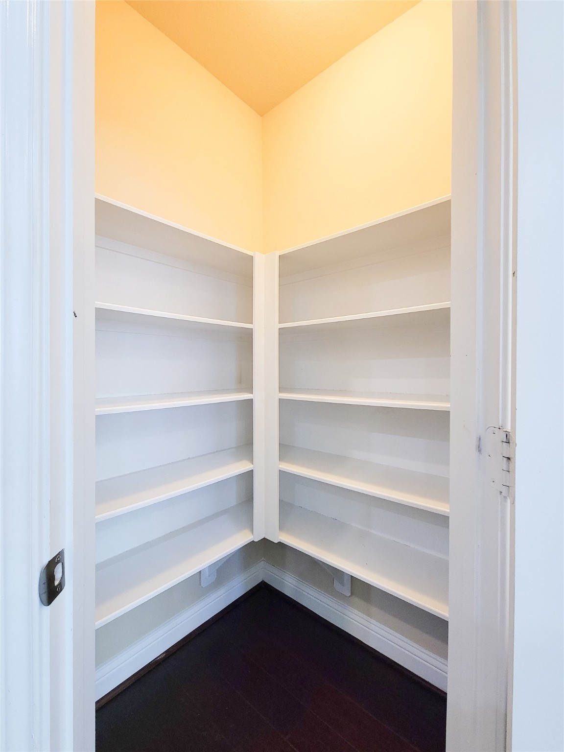 4102 Astoria Manor Lane Fulshear, TX 77441 - Photo 42 of 42 a view of walk in closet with empty racks