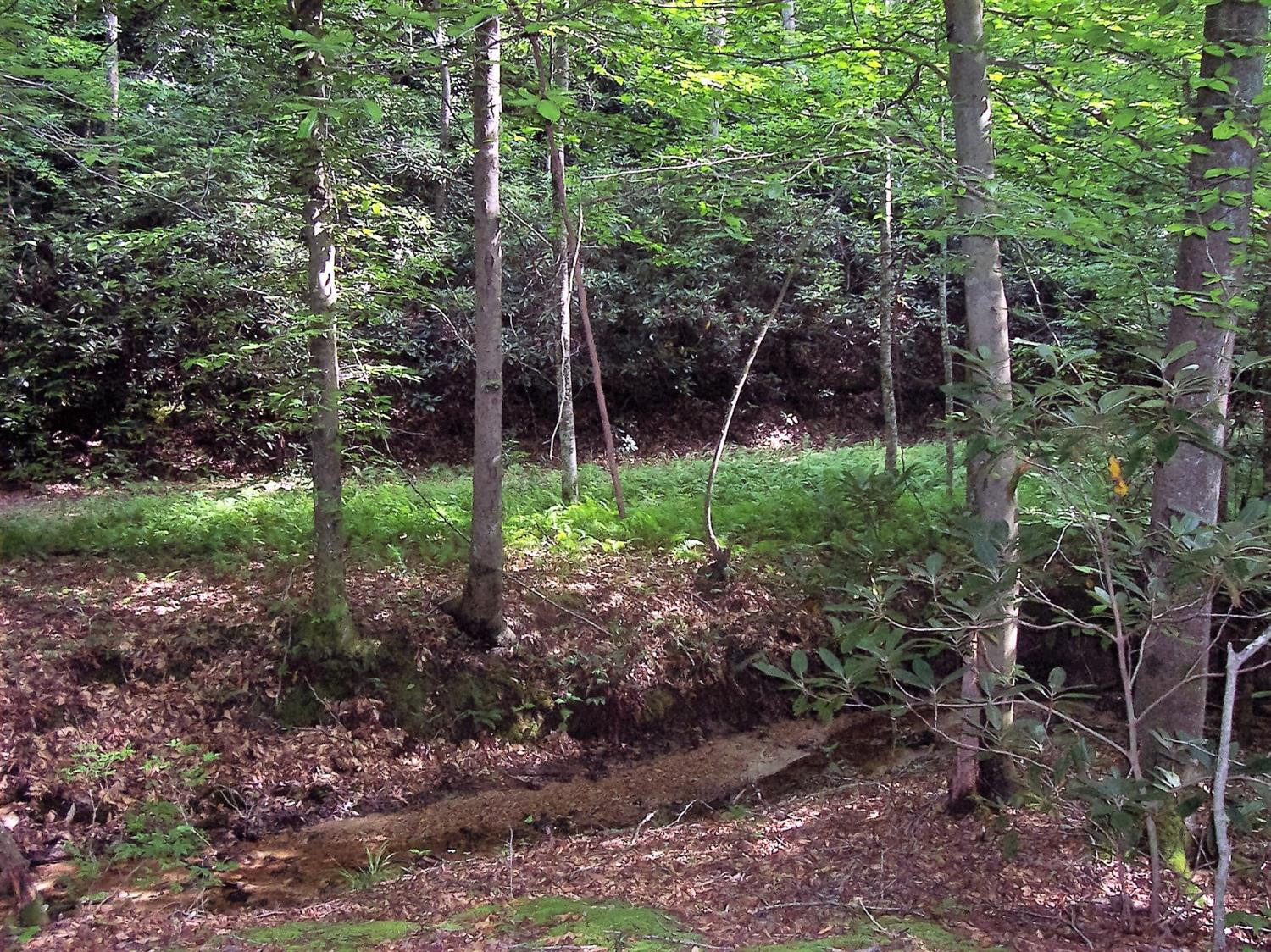 4236 Beech Timber Road Beattyville, KY 41311 - Photo 65 of 76 Photo 65