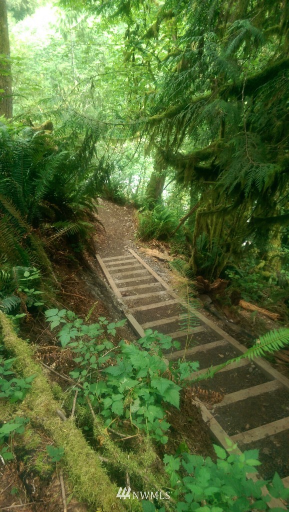 29521 Reiner Road Monroe, WA 98272 - Photo 17 of 22