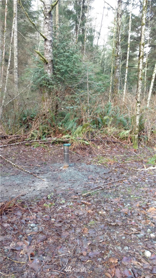 29521 Reiner Road Monroe, WA 98272 - Photo 7 of 22