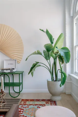 a living room with furniture and a potted plant