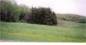 0 Larkin Valley Blair, WI 54616 - Photo 1 of 1 O Larkin Valley Road