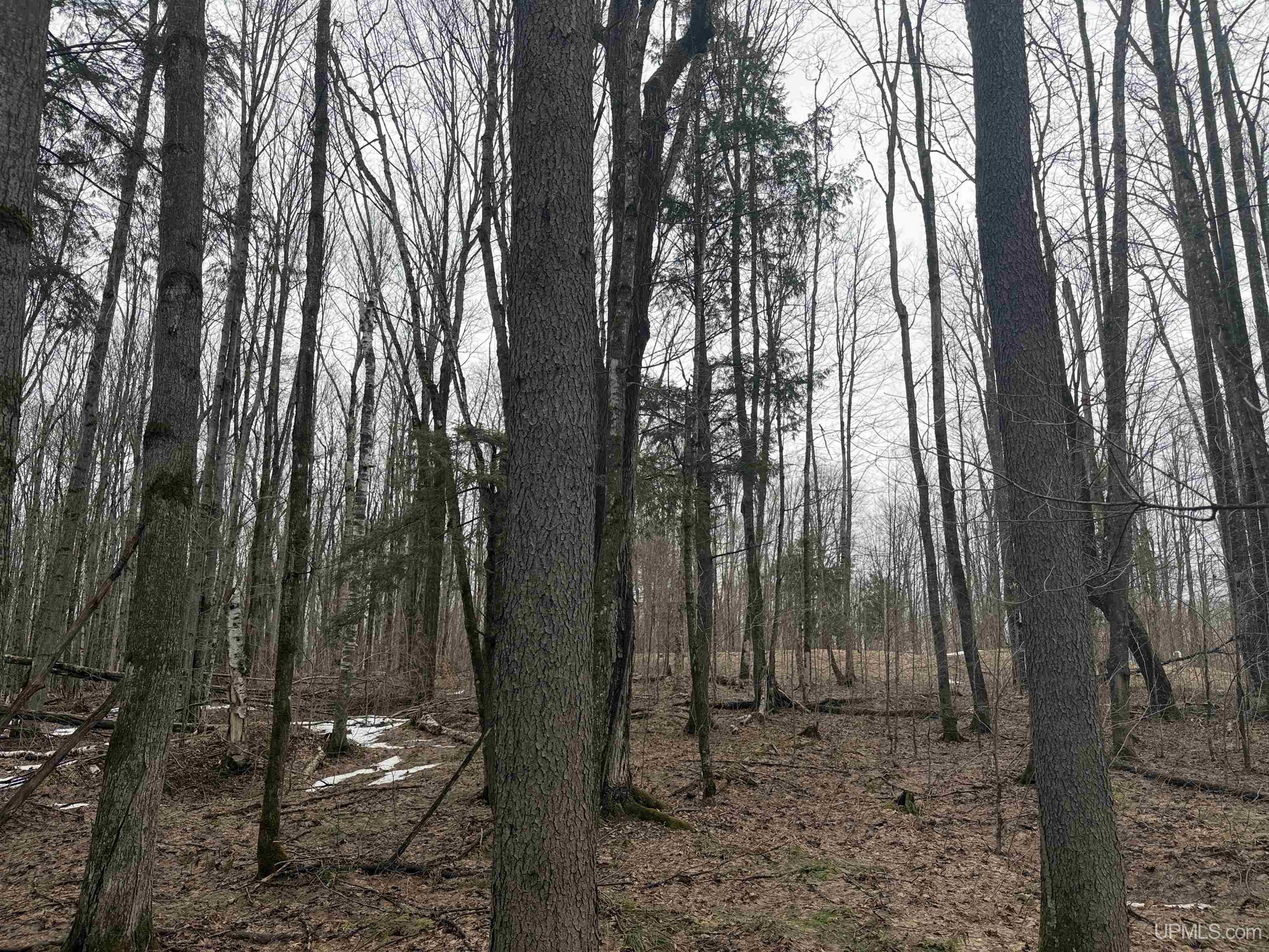 18 Chaney Lake Road Wakefield, MI 49968 - Photo 8 of 37
