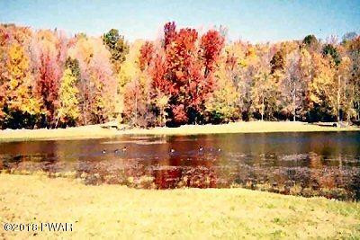 977 Ledgedale Road Lake Ariel, PA 18436 - Photo 38 of 45 pond2