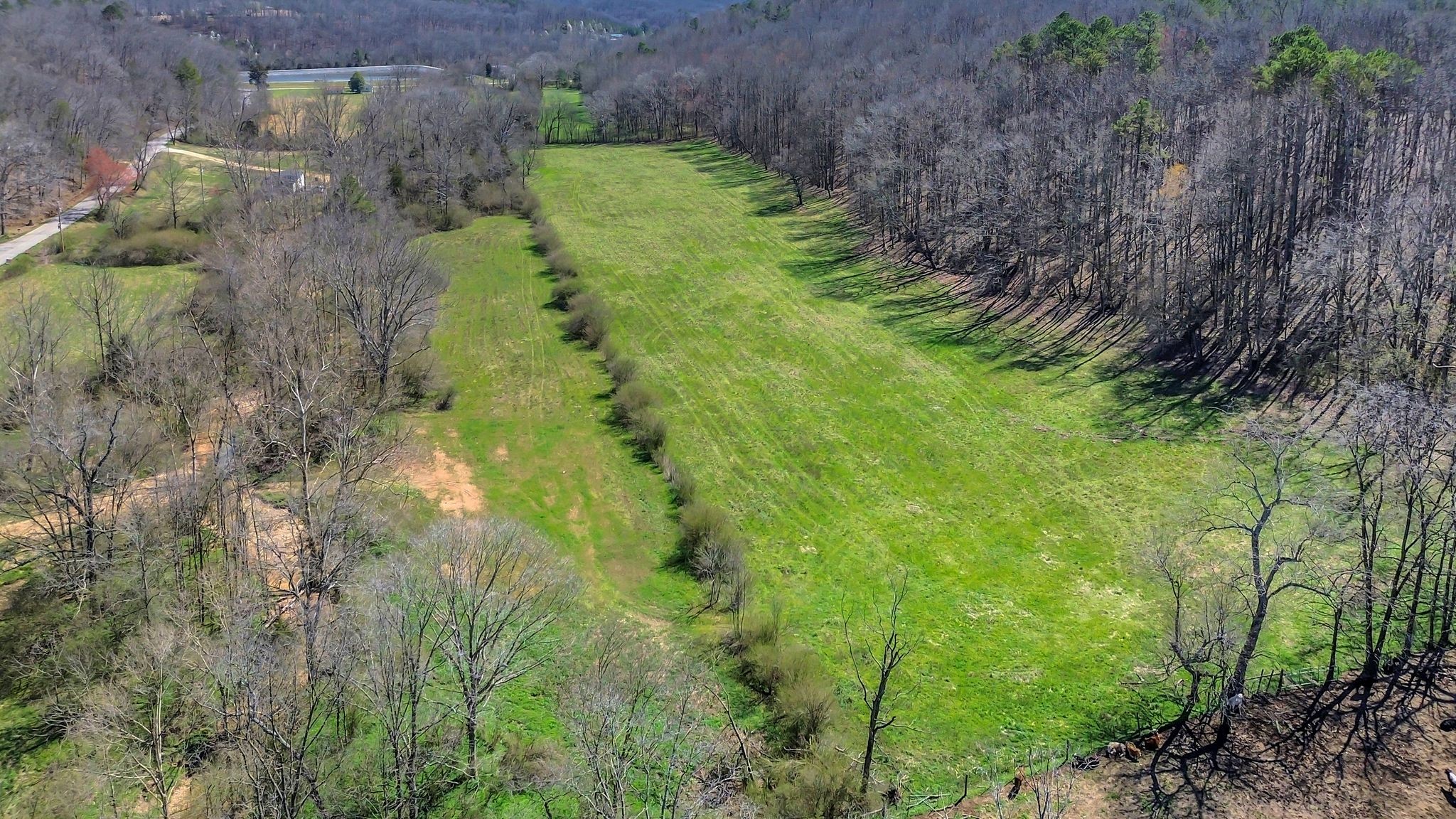 391 Wildcat Branch Road Hohenwald, TN 38462 - Photo 11 of 29 Gallery Image 11
