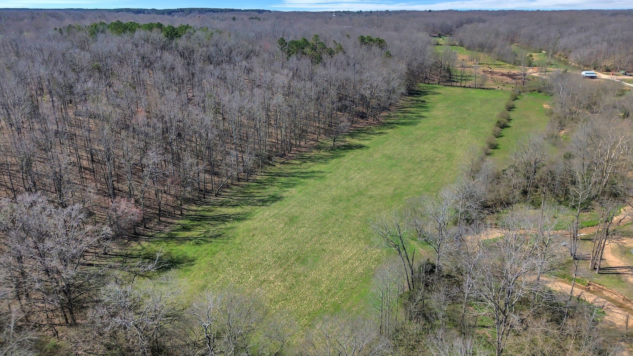 391 Wildcat Branch Road Hohenwald, TN 38462 - Photo 12 of 29 Gallery Image 12