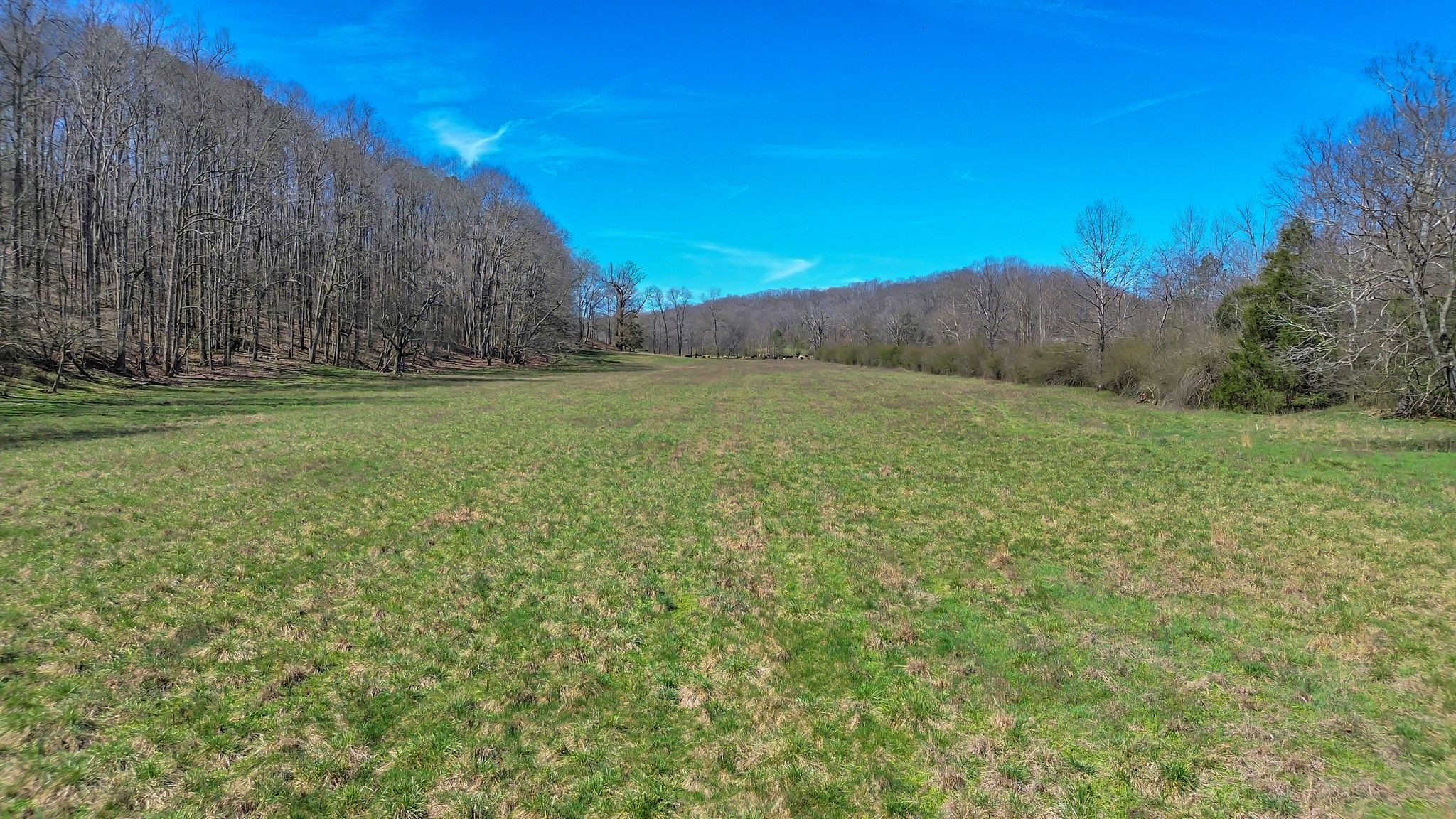 391 Wildcat Branch Road Hohenwald, TN 38462 - Photo 13 of 29 Gallery Image 13