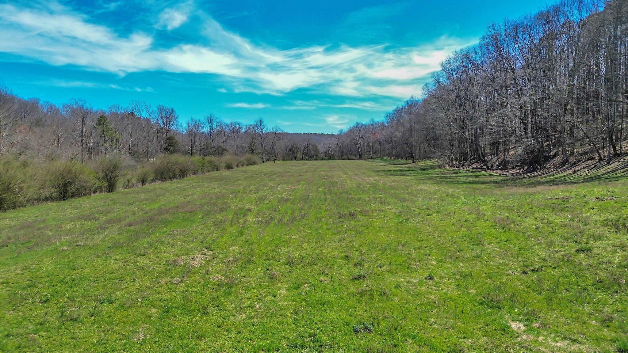 391 Wildcat Branch Road Hohenwald, TN 38462 - Photo 14 of 29 Gallery Image 14