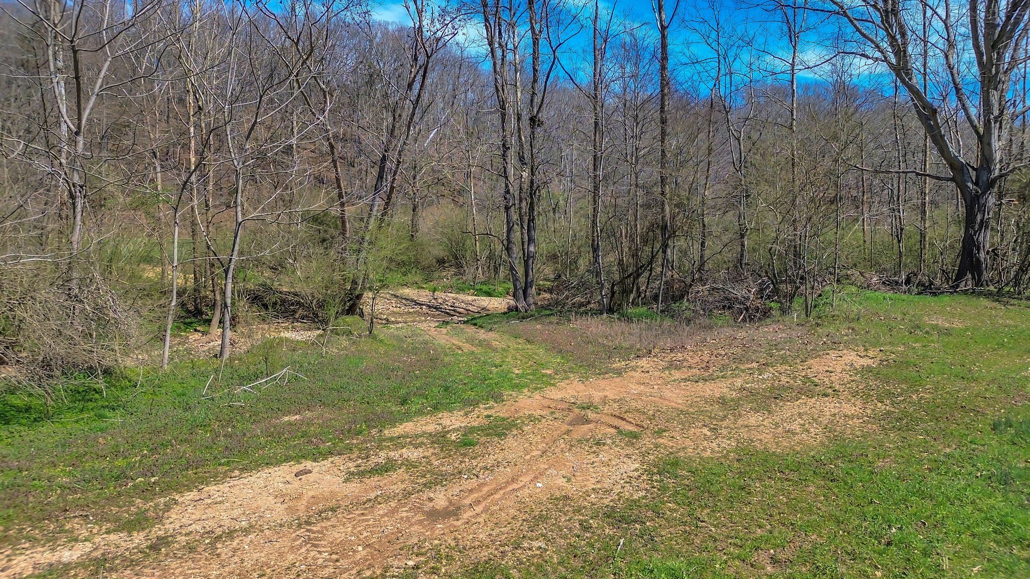 391 Wildcat Branch Road Hohenwald, TN 38462 - Photo 16 of 29 Gallery Image 16