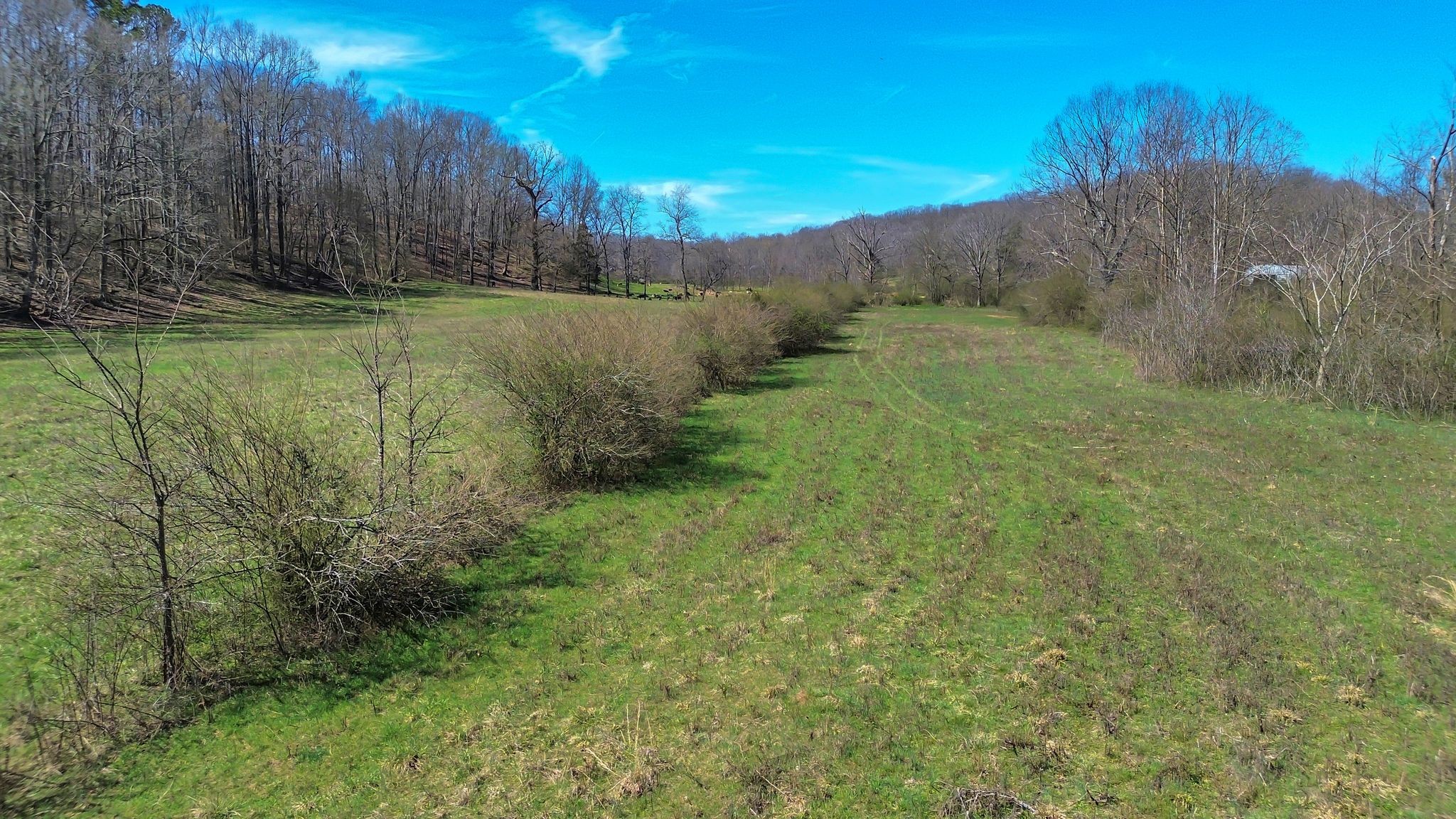 391 Wildcat Branch Road Hohenwald, TN 38462 - Photo 17 of 29 Gallery Image 17