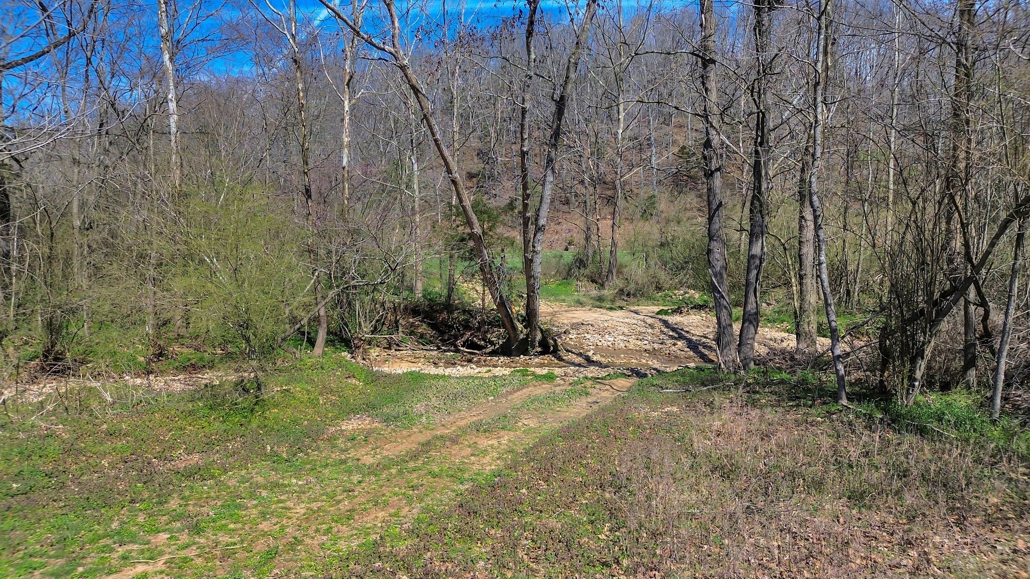 391 Wildcat Branch Road Hohenwald, TN 38462 - Photo 18 of 29 Gallery Image 18