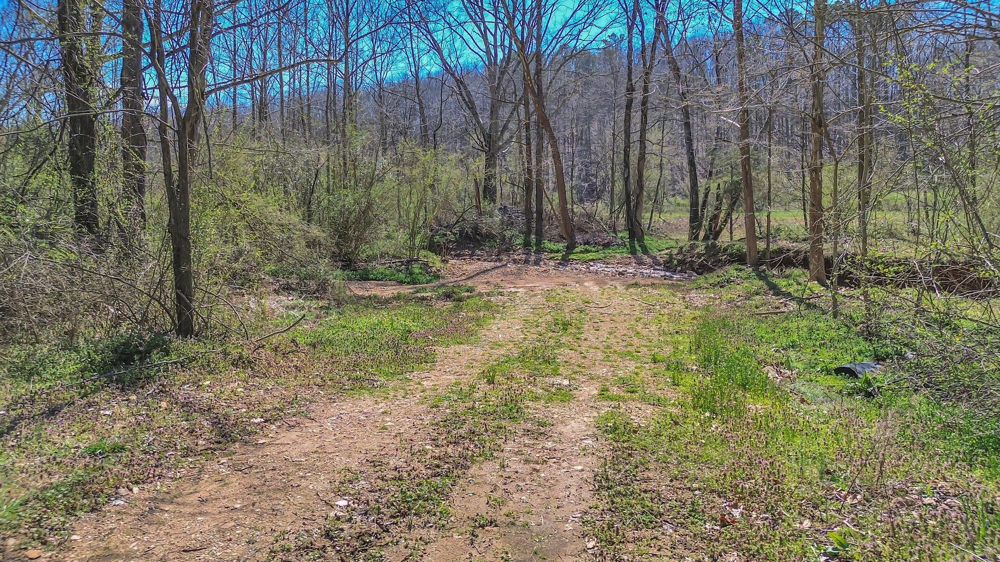391 Wildcat Branch Road Hohenwald, TN 38462 - Photo 24 of 29 Gallery Image 24