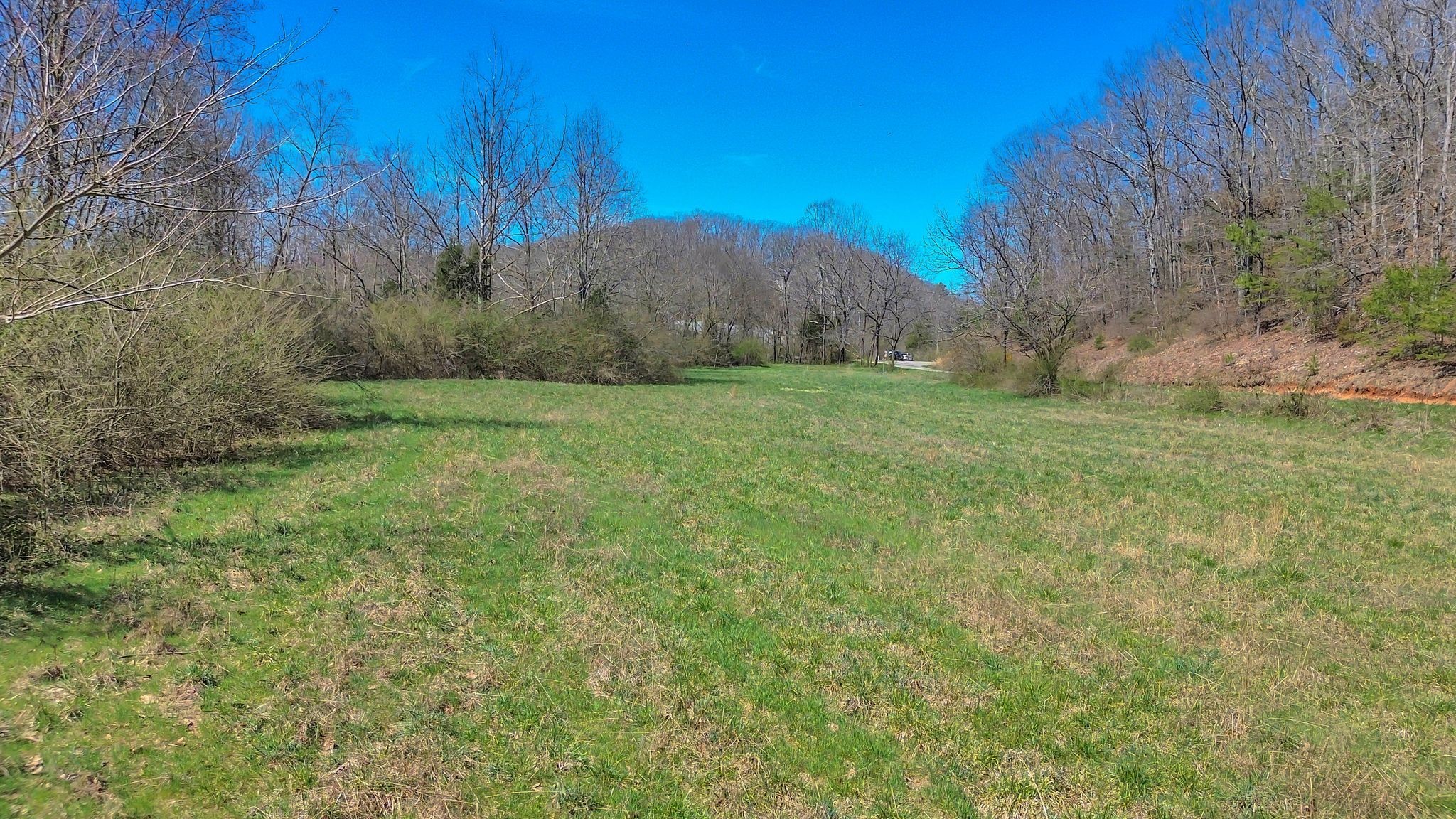 391 Wildcat Branch Road Hohenwald, TN 38462 - Photo 27 of 29 Gallery Image 27