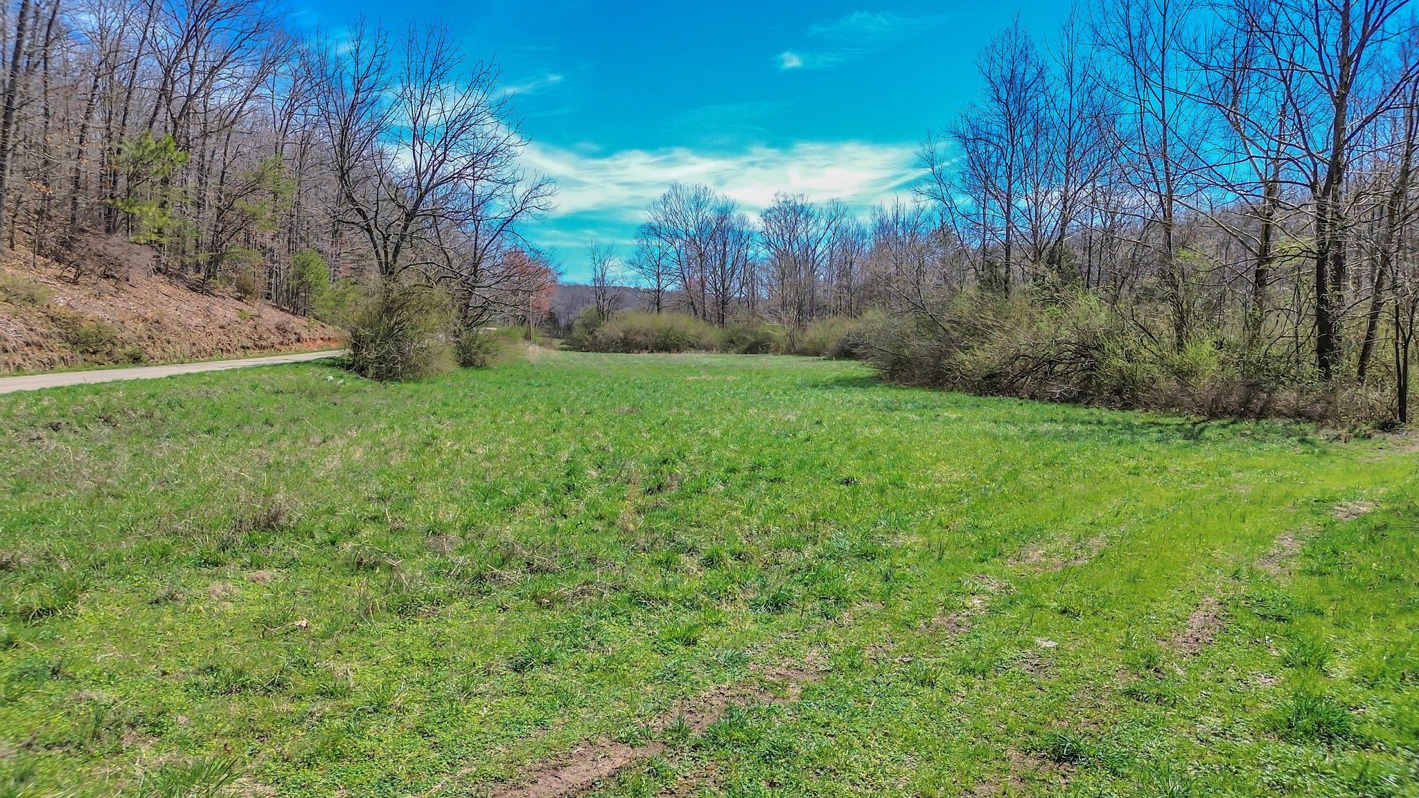 391 Wildcat Branch Road Hohenwald, TN 38462 - Photo 28 of 29 Gallery Image 28