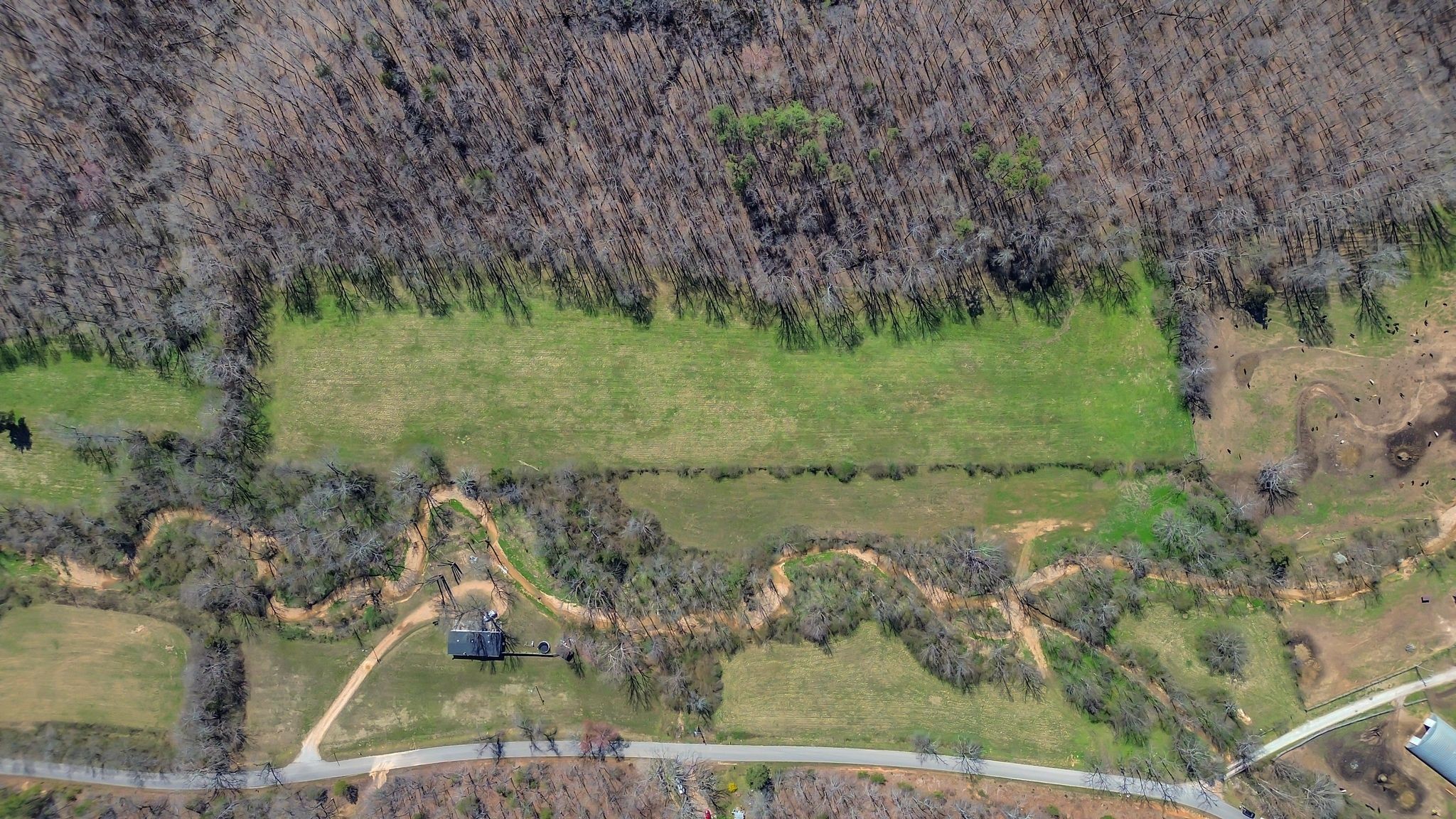 391 Wildcat Branch Road Hohenwald, TN 38462 - Photo 29 of 29 Gallery Image 29