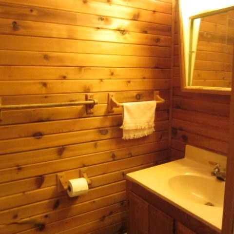 1342 Vining Road Greenville, MI 48838 - Photo 19 of 34 IMG_3958