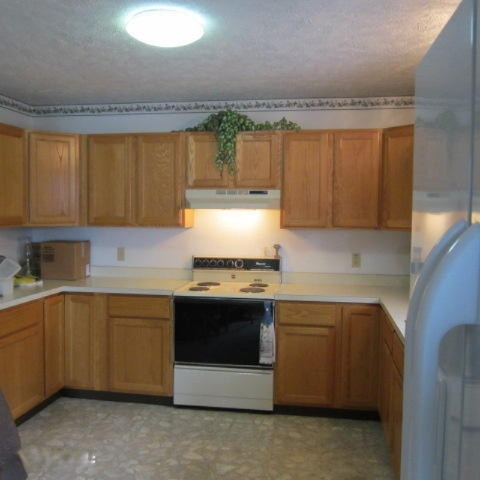 1342 Vining Road Greenville, MI 48838 - Photo 5 of 34 IMG_3940