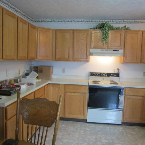 1342 Vining Road Greenville, MI 48838 - Photo 6 of 34 IMG_3941