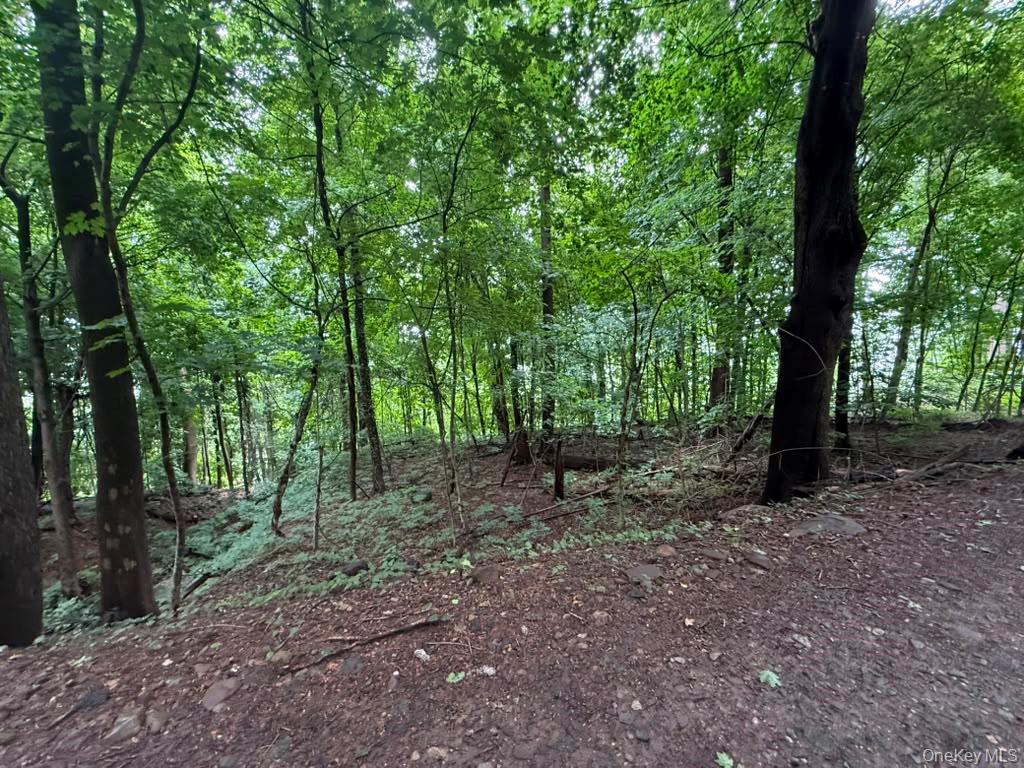 43 River Road Nyack, NY 10960 - Photo 2 of 3 Gallery Image 2