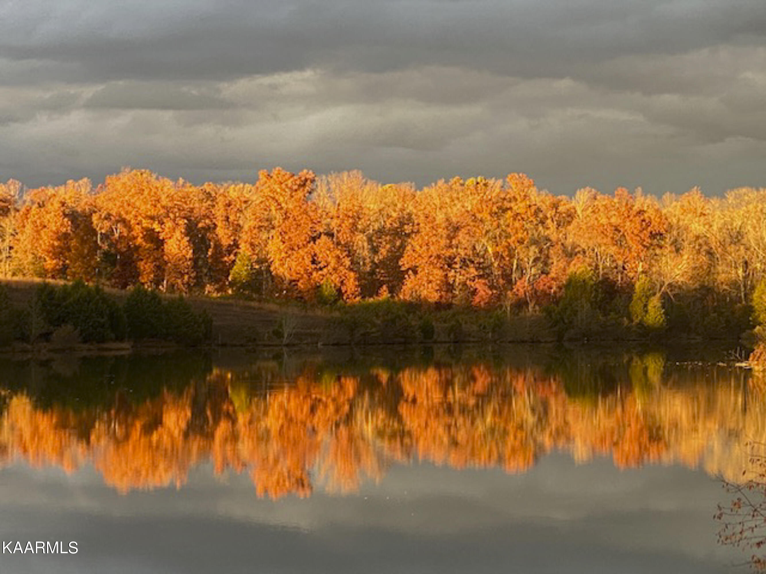 5771 Beals Chapel Road Lenoir City, TN 37772 - Photo 56 of 60 65_Fall Colors over the Water