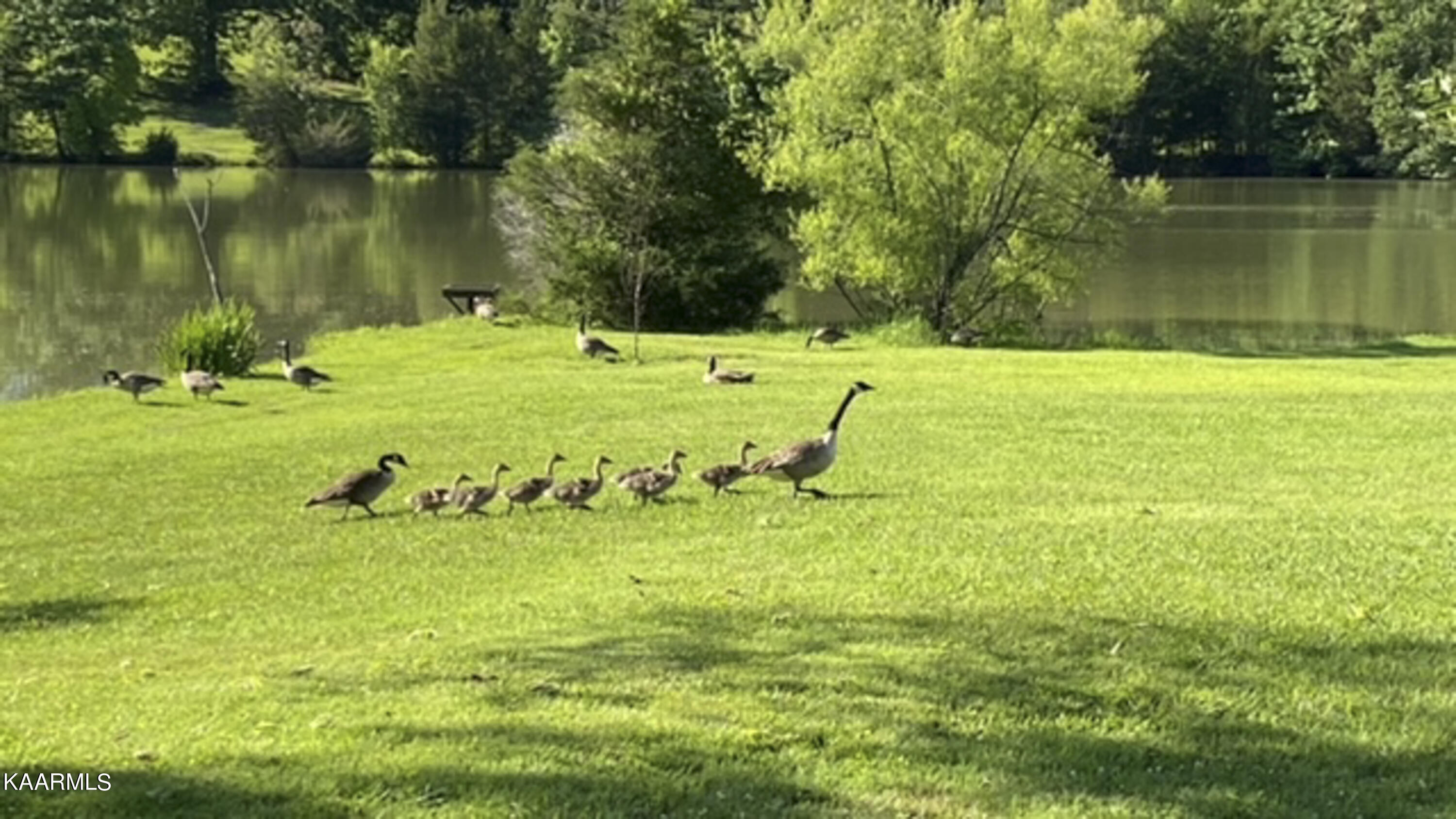 5771 Beals Chapel Road Lenoir City, TN 37772 - Photo 8 of 60 08_Scenic Views