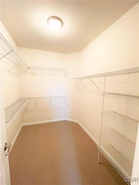 4096 Eveningstar Road, Unit IC 195 Emmaus, PA 18049 - Photo 14 of 14 Master Walk in Closet