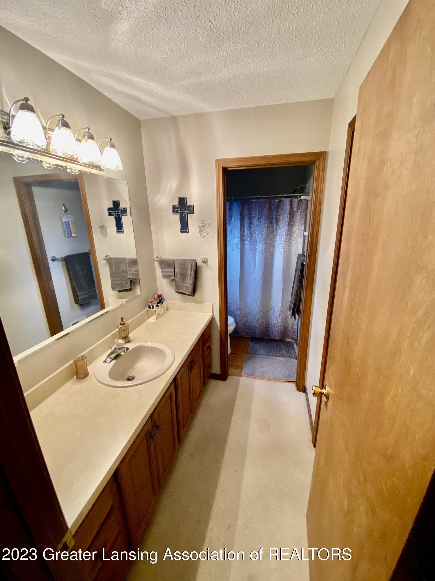 8924 Royston Road Grand Ledge, MI 48837 - Photo 16 of 39 IMG-6187