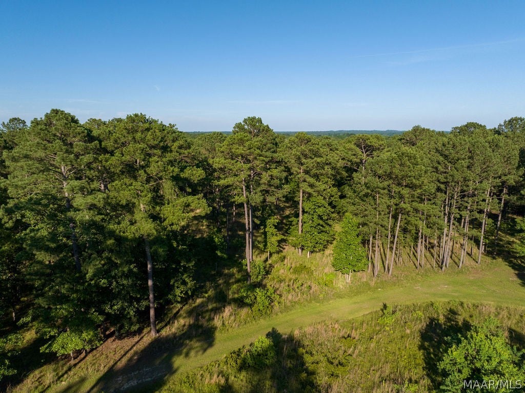 249 Old Sellers Road Ramer, AL 36069 - Photo 23 of 71 Gallery Image 23