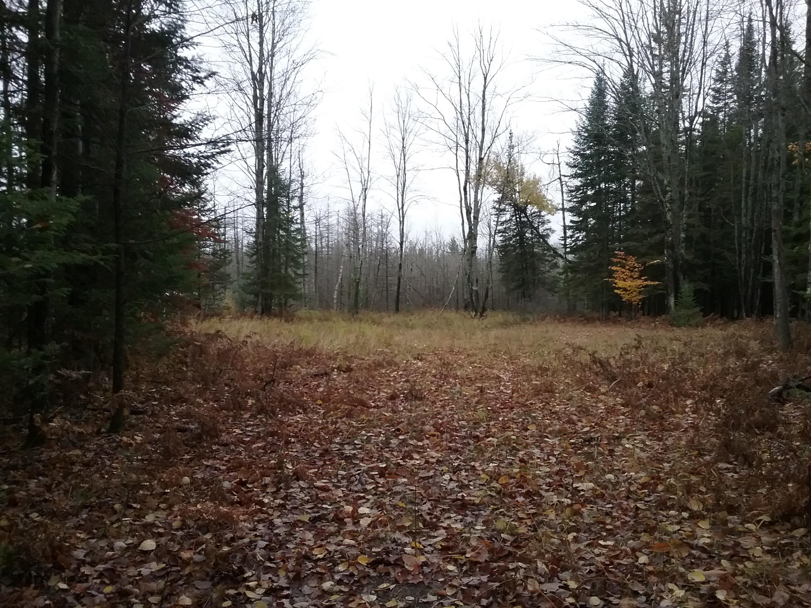 West Ostrander Road Afton, MI 49705 - Photo 4 of 11 Gallery Image 4