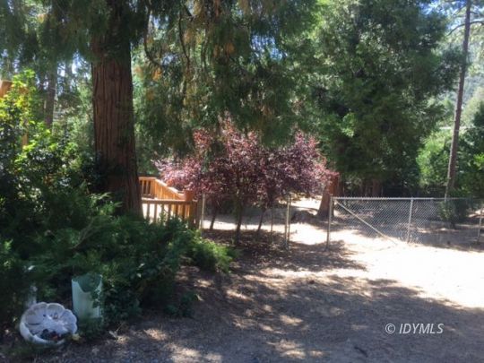 25215 Lodge Road Idyllwild, CA 92549 - Photo 5 of 19 VIEW OF BACK