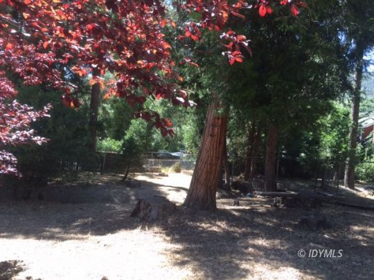 25215 Lodge Road Idyllwild, CA 92549 - Photo 6 of 19 MORE BACKYARD