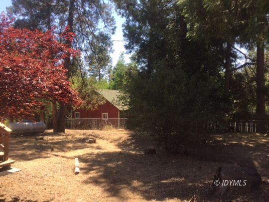 25215 Lodge Road Idyllwild, CA 92549 - Photo 7 of 19 BACKYARD