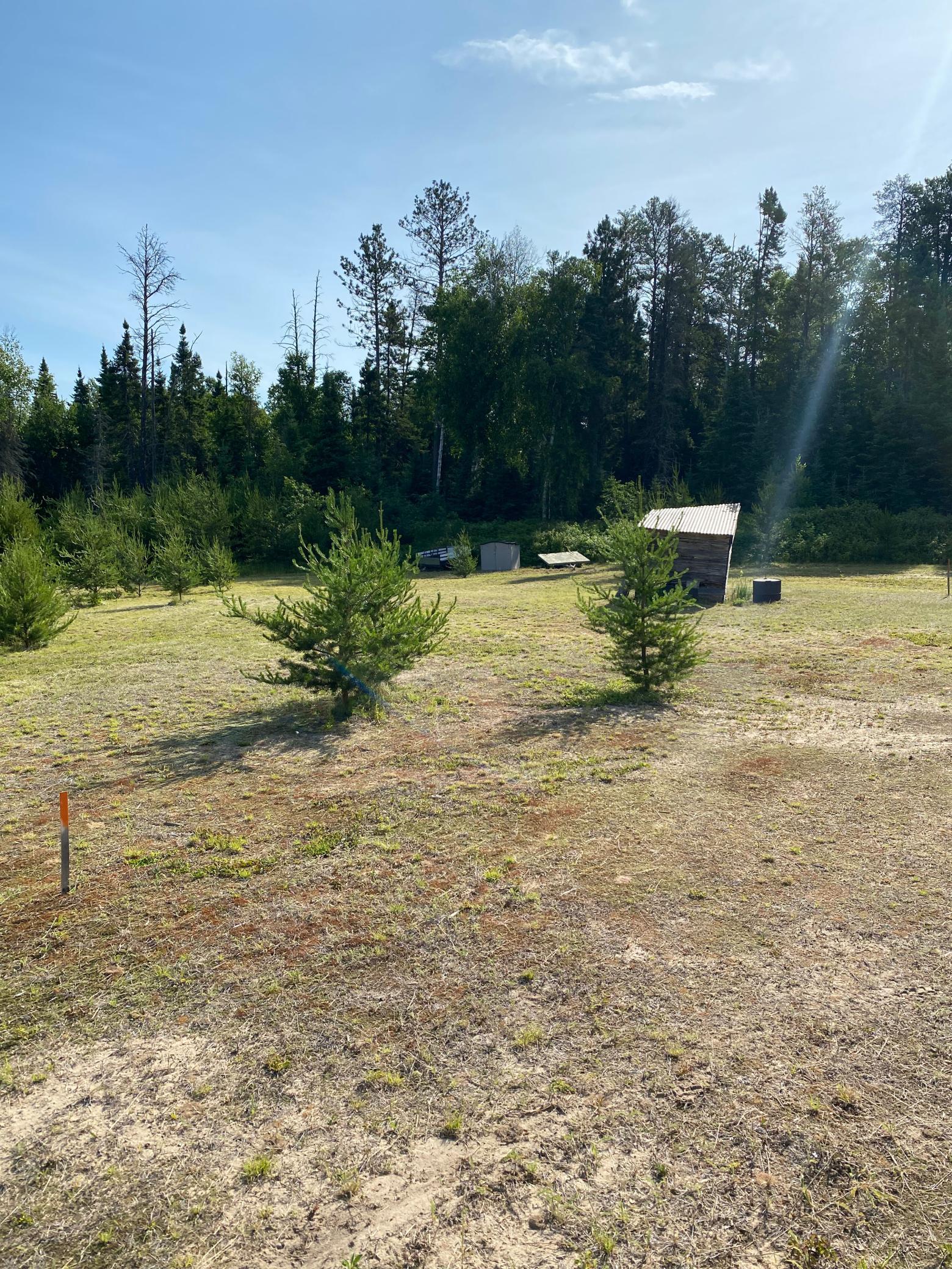2469 Nelson Trail Southwest Williams, MN 56686 - Photo 15 of 21