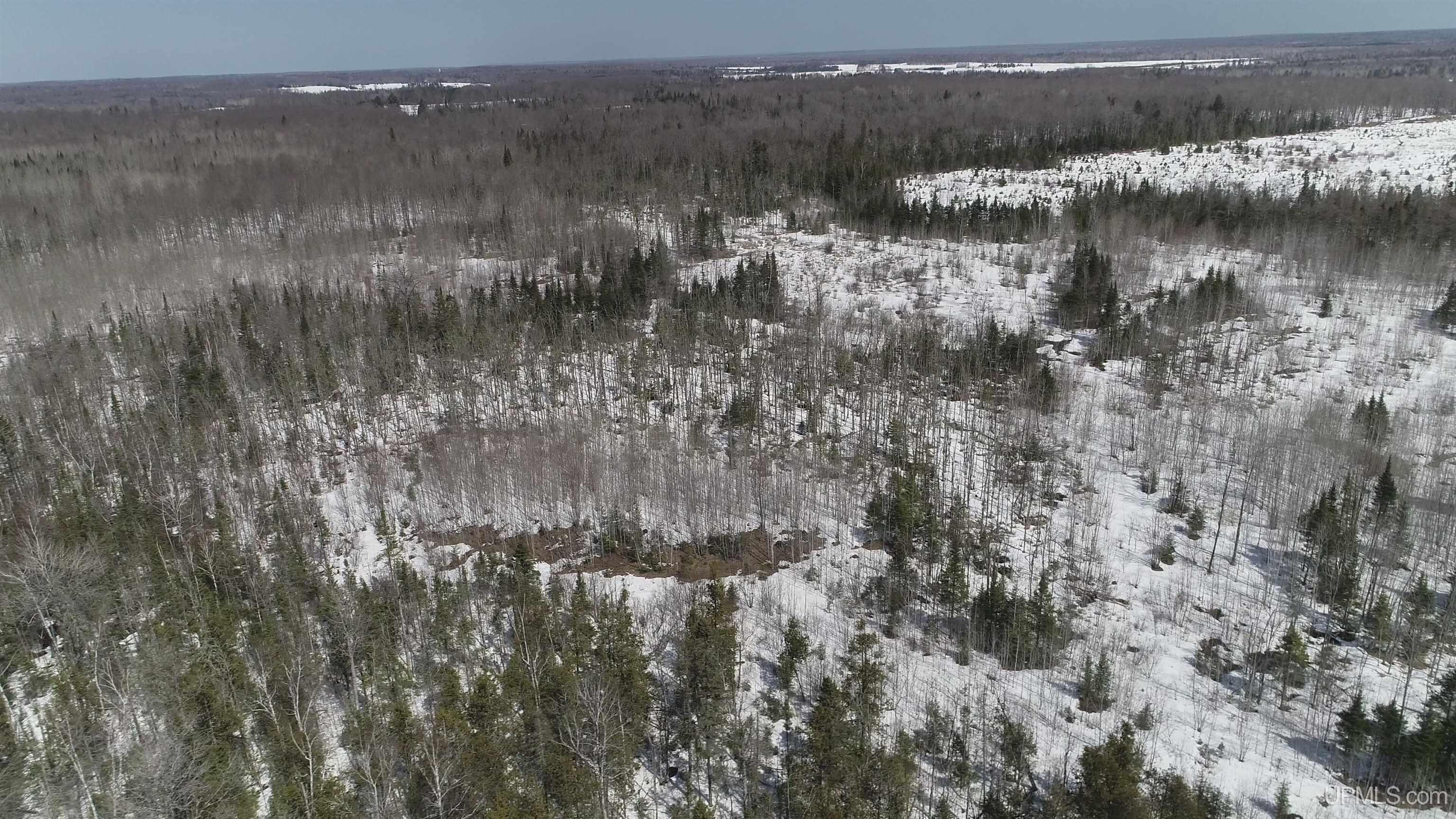 V25 Rd Trenary Mi 49891 Road Rapid River, MI 49878 - Photo 19 of 28