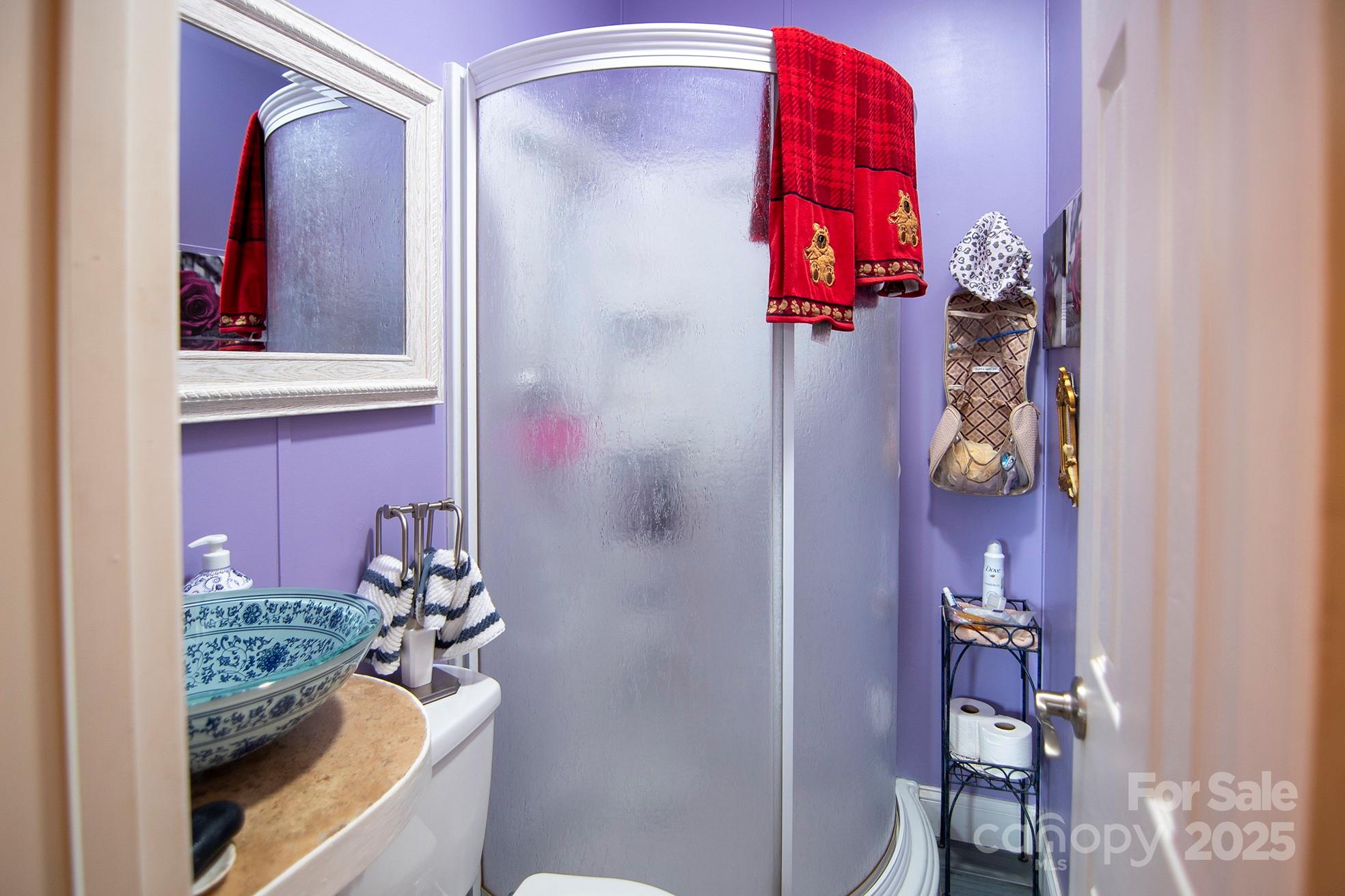 304 Golden Aster Road Swannanoa, NC 28778 - Photo 20 of 27 a bathroom with a shower and a mirror