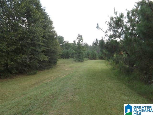 435 Wow Road, Unit 59 Blountsville, AL 35031 - Photo 33 of 49