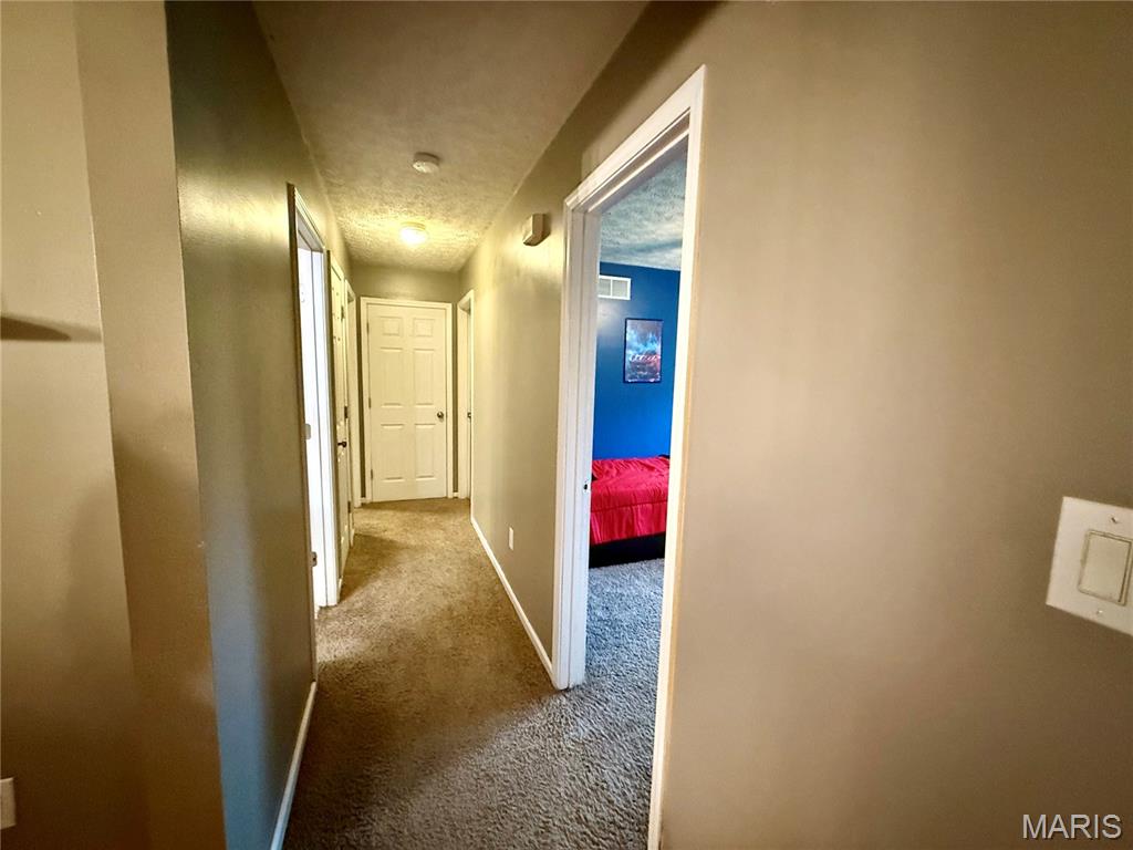 29 St Ann Avenue St. James, MO 65559 - Photo 14 of 32