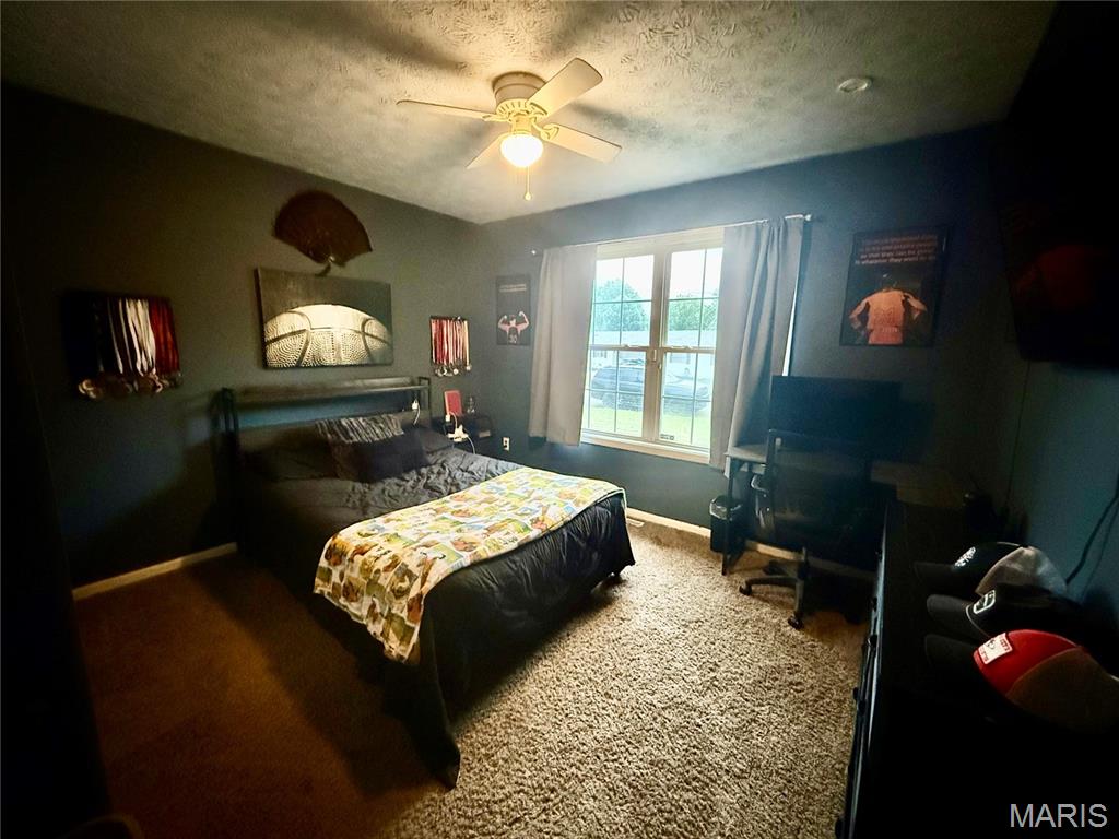 29 St Ann Avenue St. James, MO 65559 - Photo 20 of 32