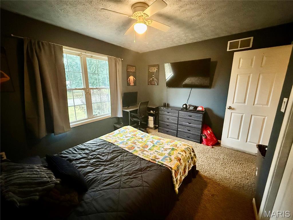 29 St Ann Avenue St. James, MO 65559 - Photo 21 of 32