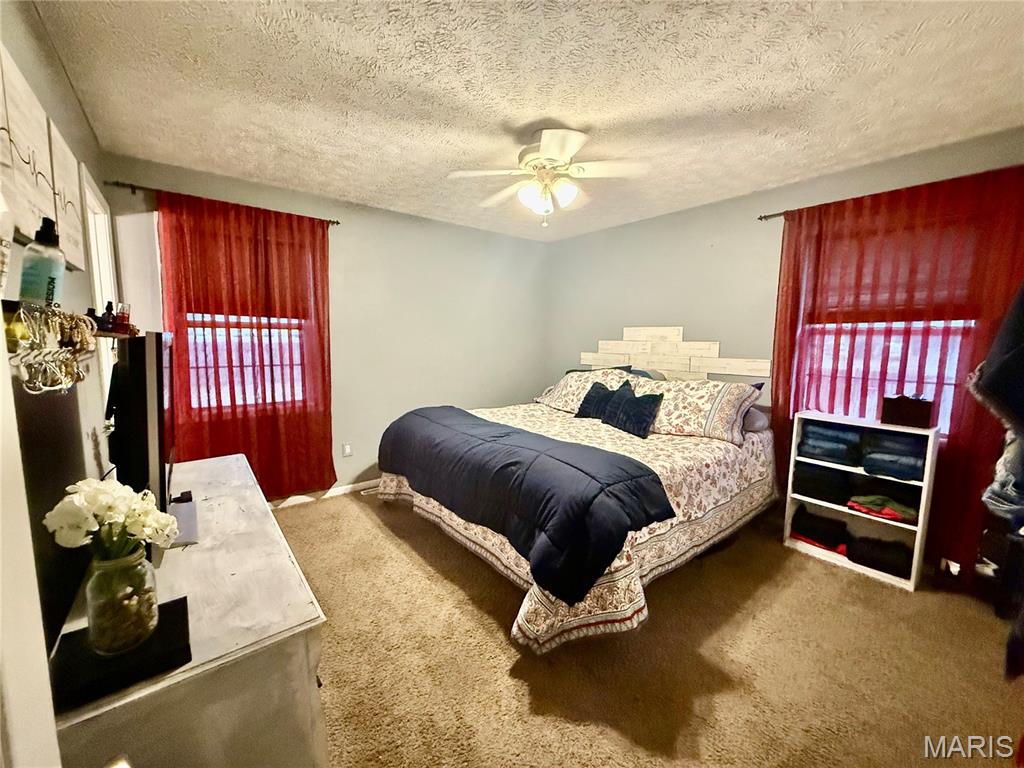 29 St Ann Avenue St. James, MO 65559 - Photo 22 of 32