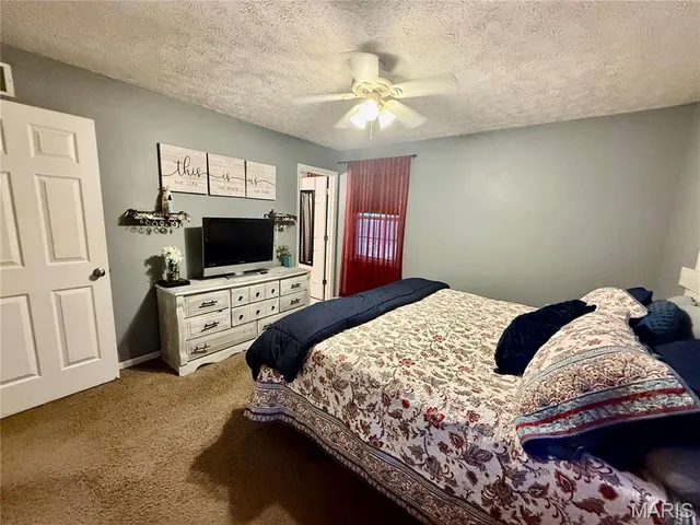 $230,000 | 29 St Ann Avenue, St. James, MO 65559