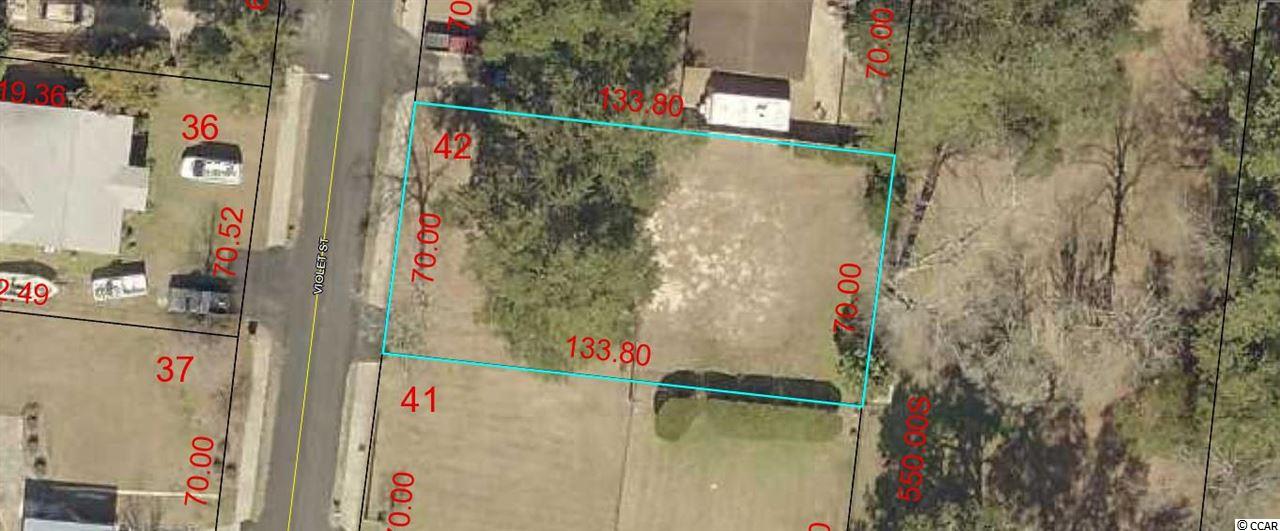 2215 Violet Street Georgetown, SC 29440 - Photo 3 of 3