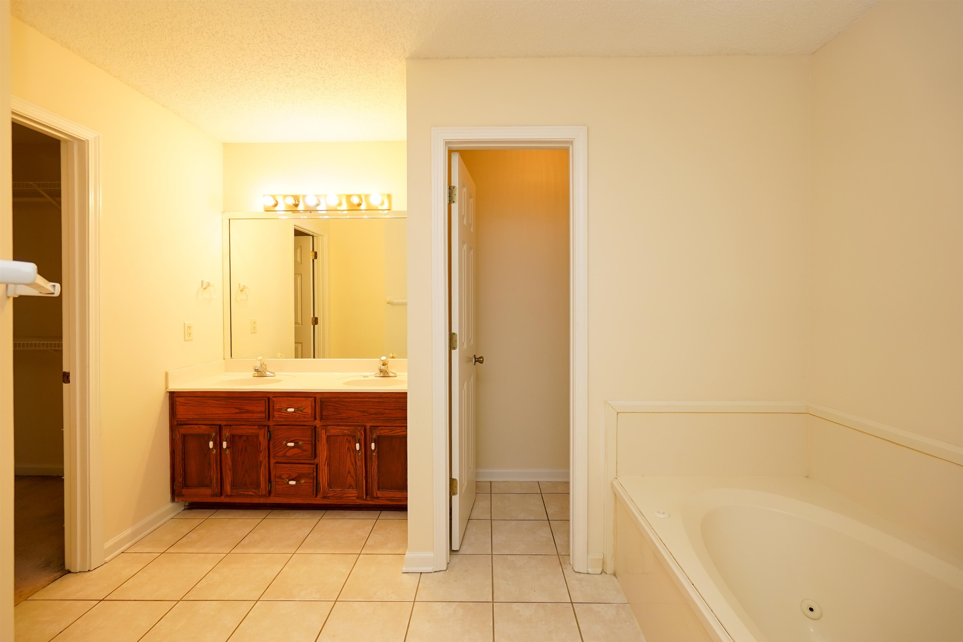 242 Timothy Road Atoka, TN 38004 - Photo 25 of 25 a spacious bathroom with a tub sink and mirror