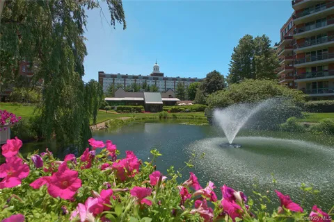 a view of a lake with a lot of flowers